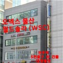 (주)더블유에스씨 네이버블로그