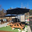 TOY | 남양주 TOY &amp; BUNNY 데이트 후기 | 피규어 + 동물 교감 가능한 힐링 공간