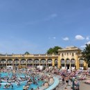 한산 F&P | [헝가리 부다페스트] 세체니온천 가는법 이용방법 준비물 부다페스트 3대온천