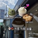 bamtol(밤톨) | 품절 대란 하동 '밤톨' 밤파이 6구 세트 5개 쟁여온 솔직 리뷰 (ft. 아이스크림 조합)