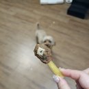 멈머(mummuh) 이미지