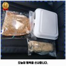 꽃피는4월밀익는5월 이미지