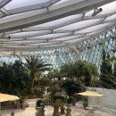 풍동도서관 | 날씨 상관없이 즐기는 서울식물원 온실 나들이 후기 🌿