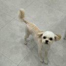 이뻐질개 이미지