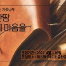 핀즈캐빈