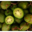 금이농장 이미지