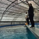 고고 장구 교실 이미지