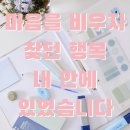 마음수련 | :: 채울수록 더 허무했던 이유 - 마음수련 명상 솔직 후기