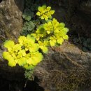 (주)고귀 이미지