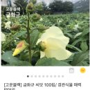 농업회사법인 (주)고운블랙
