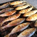 보천물산 | 전어(錢魚)이야기