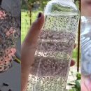 마장동 고기집 이미지