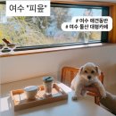 피읖피읖 | 여수 돌산 대형카페 애견동반 가능"피읖카페" 내돈내산 후기