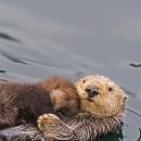 연희김밥 이미지