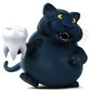 더원고양이동물병원 이미지