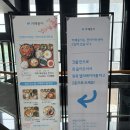 카페동이 영남대 천마아트센터 맛집 밥집 :: 쭈꾸미볶음, 제육볶음