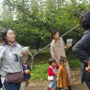 대림3농장 이미지