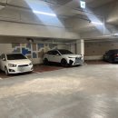 비바도기 이미지