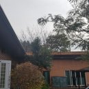 대방농원 이미지