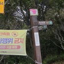 대견사 | 백대명산13. 비슬산(대견사에서 천왕봉)