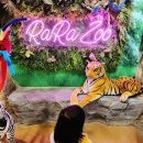 코코베베어린이집 | 육아일상(라라쥬 / 육아템쇼핑 / 23개월 영검)