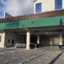 홍성군청 별관1동 1층 | 영종도 애견동반카페 그리너리바스켓 방문기｜대형 정원 펫존 완비한 강아지 힐링 카페