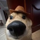 푸쉬스토어 | 일본 도쿄 일상｜시부야 무신사 도쿄 팝업 스토어 2025 방문 후기