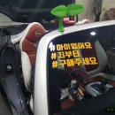 대우오펠 지투엑스 G2X 로드스터 아이없어요 저부터 구해주세요 스티커 이미지