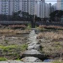 신풍교2 네이버블로그