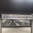 챔스리그 | 리스본 경기장 벤피카 vs 레알마드리드 챔피언스리그 직관 후기 (좌석·가는법·꿀팁 총정리)