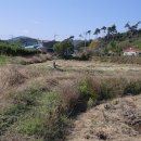 대운산리 이미지