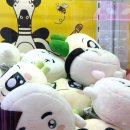 찌꼬뽀꼬 이미지