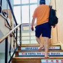 대영 스포렉스 이미지