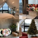 초강농장3 | 2박 3일 커플 2인 제주여행 경비 비용 총정리