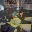 뛰댕길겨 미용할겨 이미지