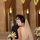 ㈜정산덴탈라인 | 더채플앳청담 커티지 본식 후기: 타임라인 피로연 식대정산 아쉬웠던 점