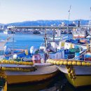 전국수산 이미지