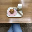 사하초등학교 | 사하초 아늑한 동네카페 수제 디저트 후기