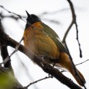 장머리방 이미지