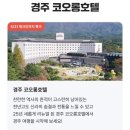 코오롱엘에스아이(주) 코오롱호텔 | 경주 코오롱호텔 83% 할인 | 불국사 도보 10분 7만원대 4성급 오픈런 특가