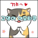 귀여운 고양이 이미지