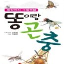 개똥이책