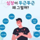 세이 이미지