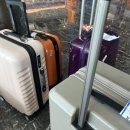 주공이발관 | 나트랑 여행기 3탄 , 빈원더스(빈펄랜드) 대만족 후기