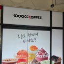 천씨씨커피 | 천씨씨커피 화성장안점 방문후기