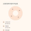 안정제 네이버블로그