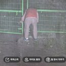 RE: 모내기 하느라 이미지