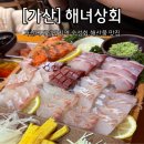 디지털벨리로 | 가산디지털단지맛집 숙성회맛집 해산물맛집 해녀상회 내돈내산 솔직후기