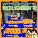 광이네 이미지