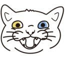 고양이미용호텔_미야옹 이미지